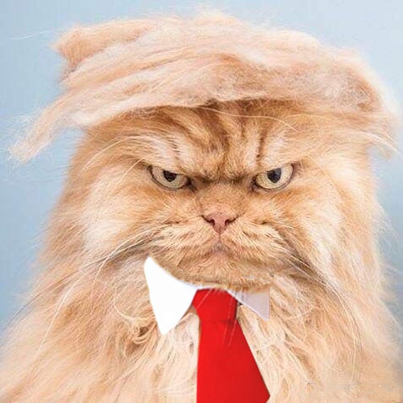 MESINURS Trump Style Pet Costume Dog Wig, Dog Clothes with Collar & Tie Head Wear Apparel Toy for Halloween, Christmas, Parties, Festivals (Light Brown with Tie) - Image 1